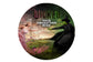 Wicked NEW!